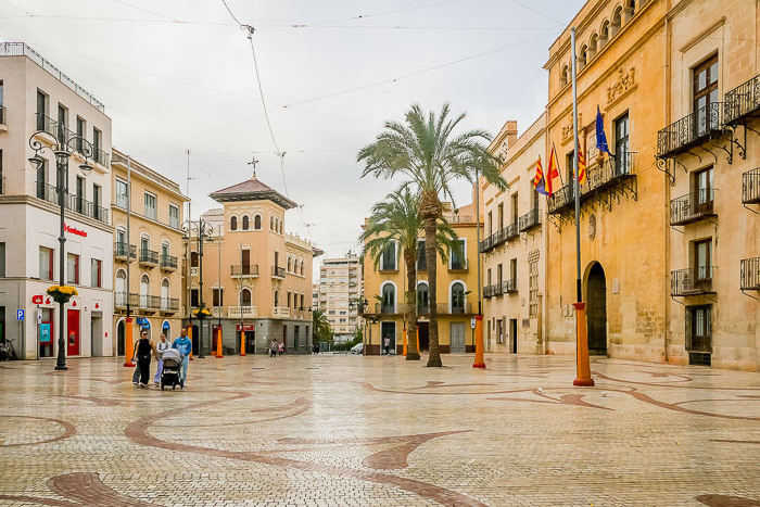 palmeral y entorno de Elche